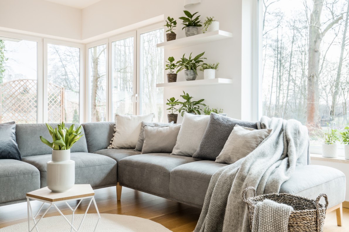 Décorer Votre Intérieur Avec Des Plantes