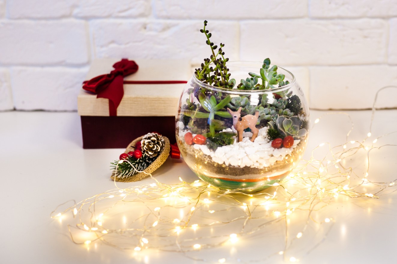 Une Composition Pour Noël
