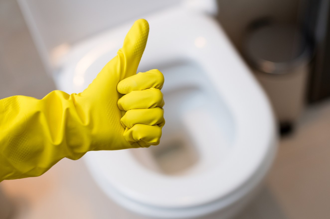 Astuces Pour Déboucher Les Toilettes