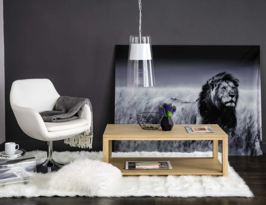 Machaka Tableau Lion Plexiglas