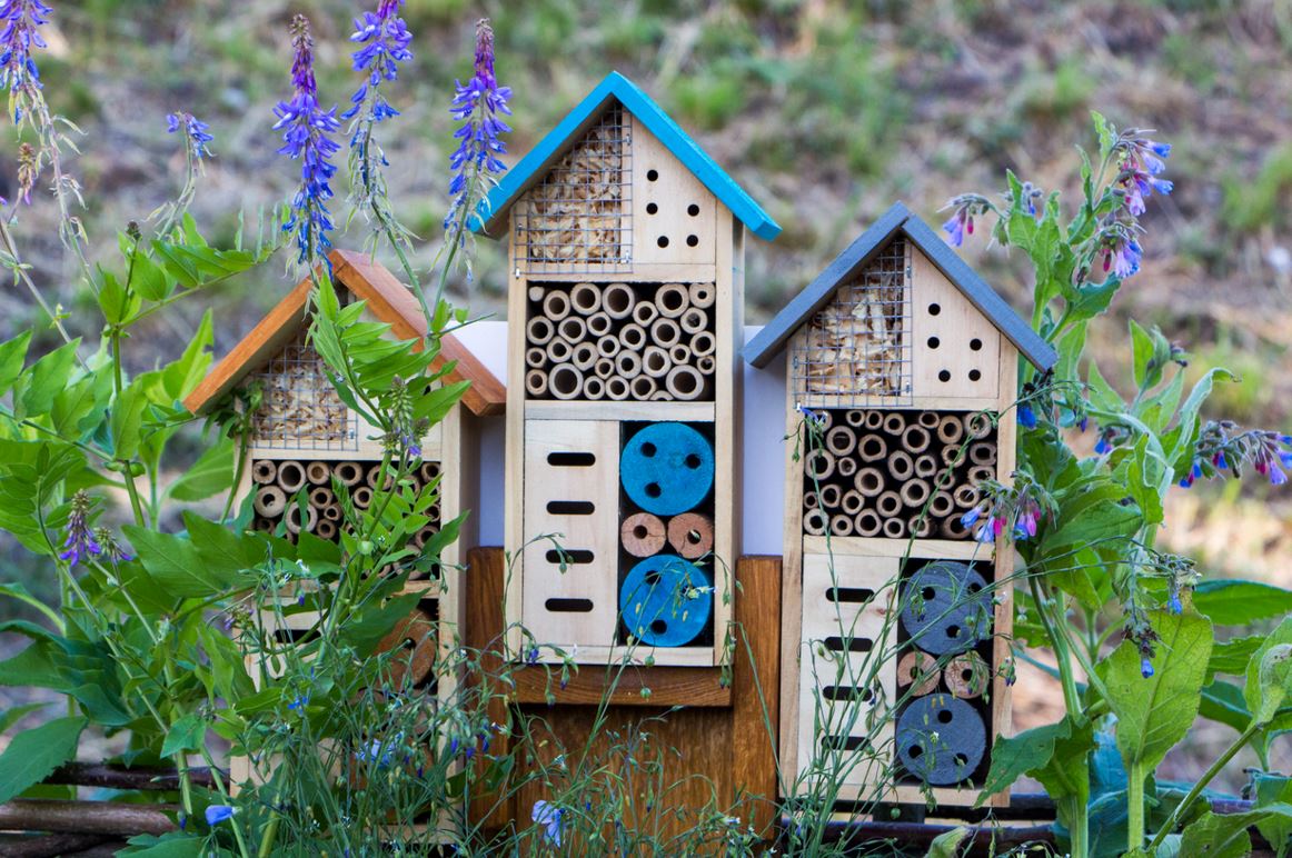 Installer Une Maison à Insectes