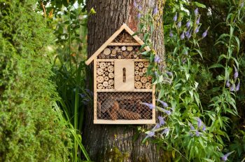 Maison à Insectes