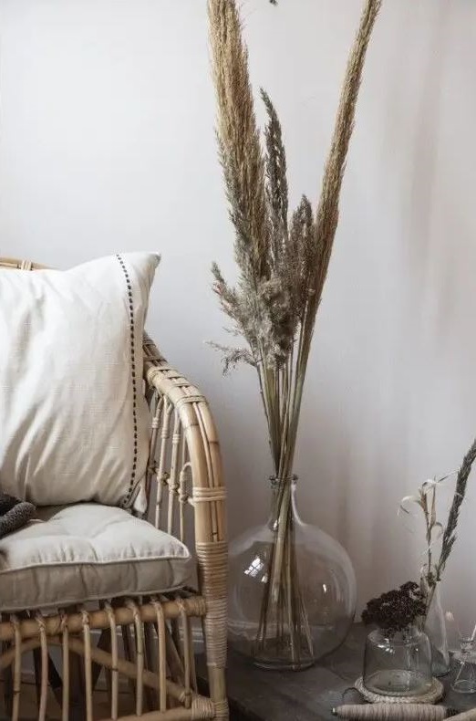 dame Jeanne Verre Transparent
