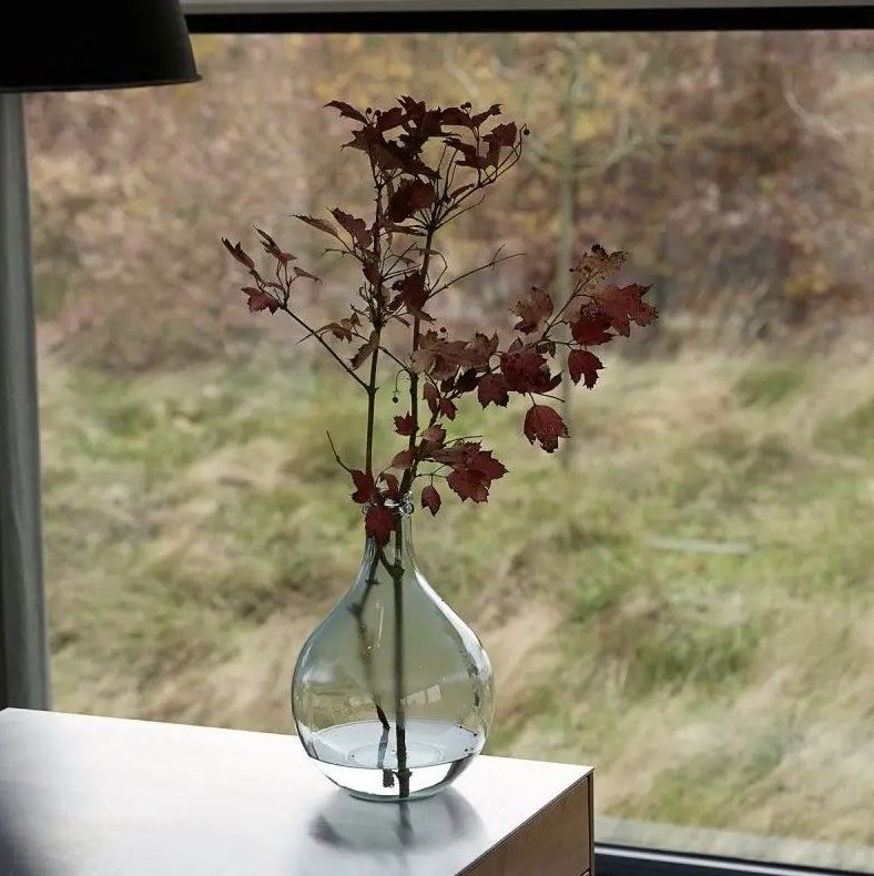 branchage Automnal
