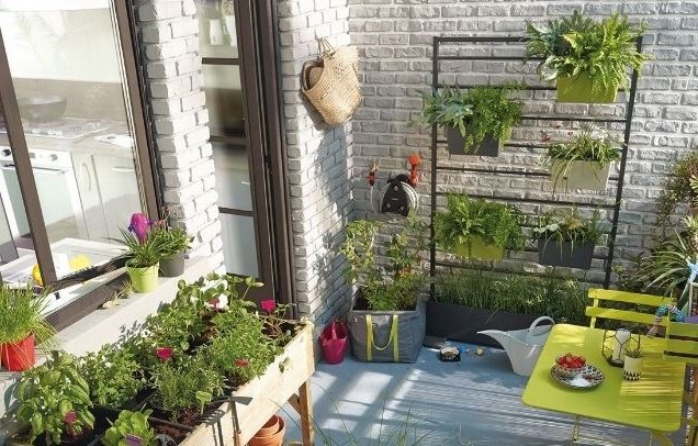 plantes
