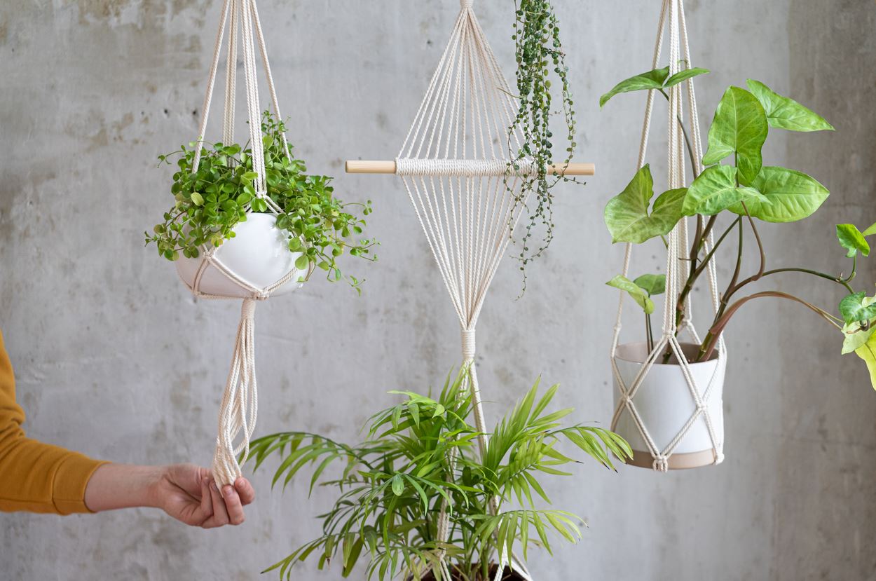 suspension En Macramé