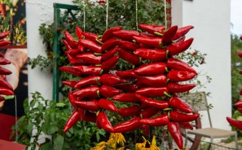 Piment D'espelette