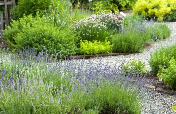 Aménager Jardin Minéral