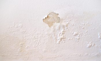 Peinture écaillée