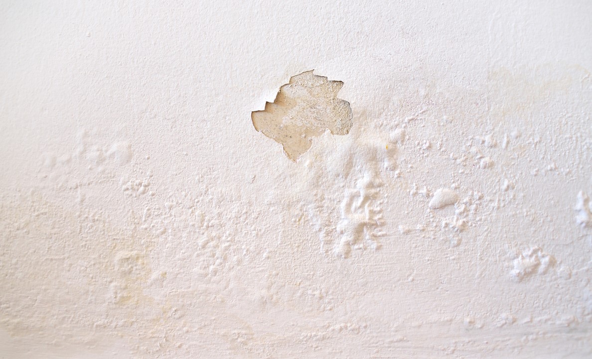 Peinture écaillée