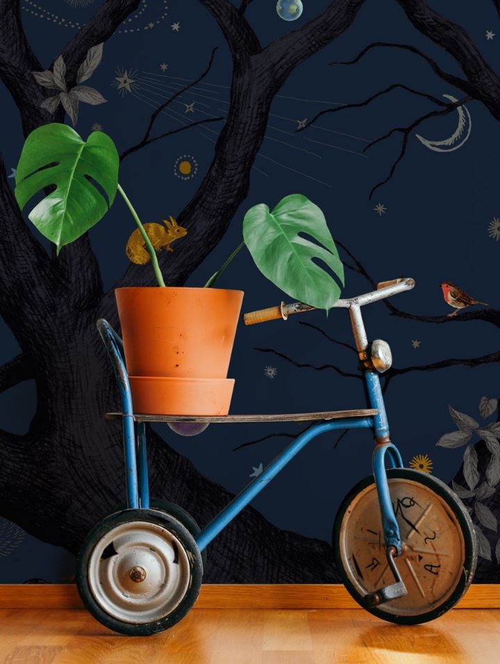 papier Peint Bleu Nuit