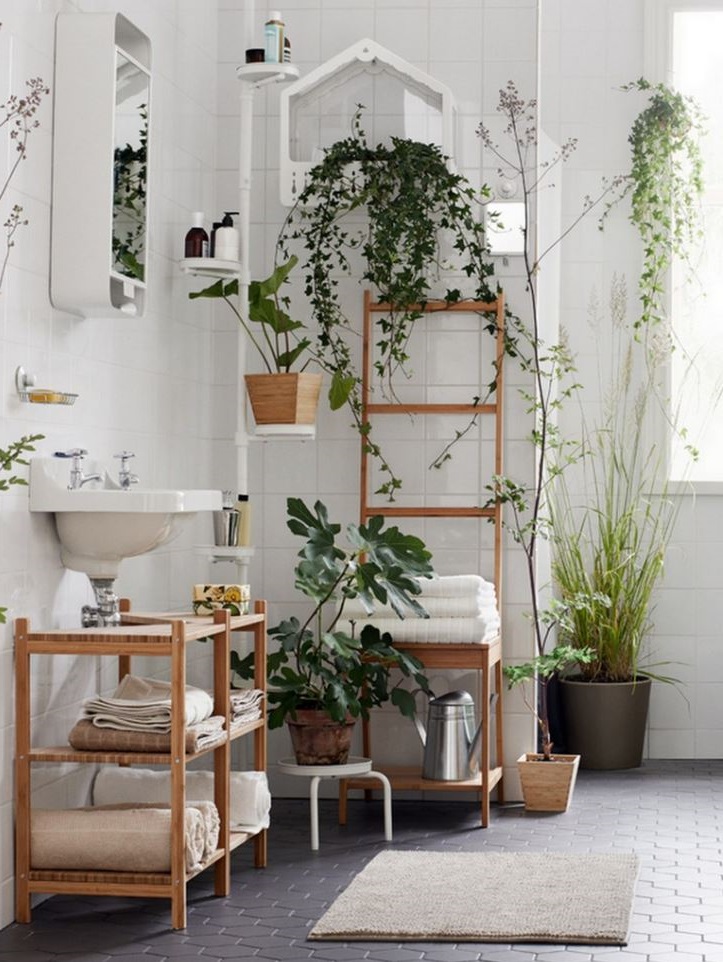 verdure Et Bois