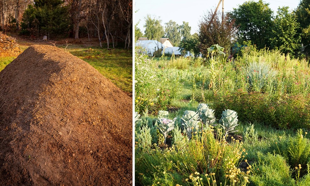 Butte De Permaculture