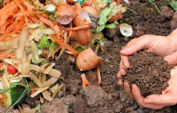 Compost Jardin