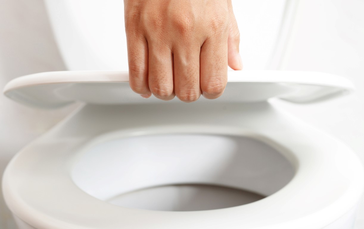 Déboucher Toilettes