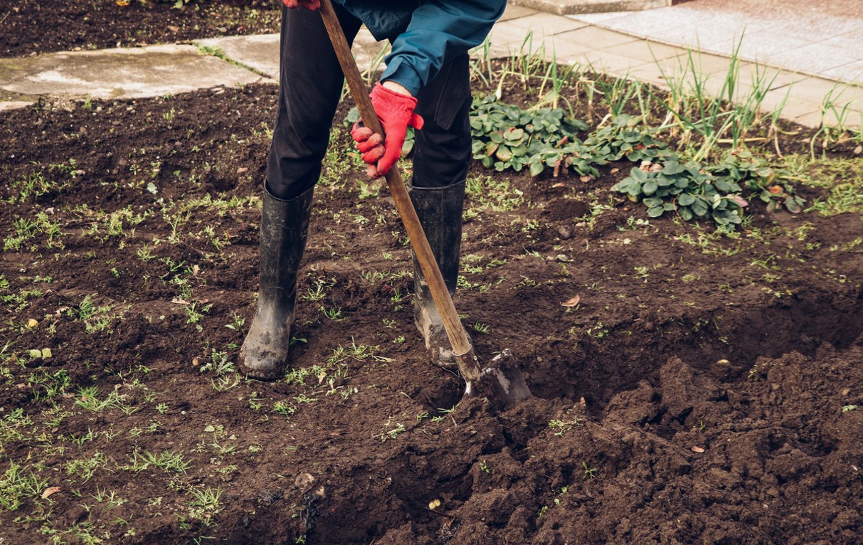 Labourer Terre