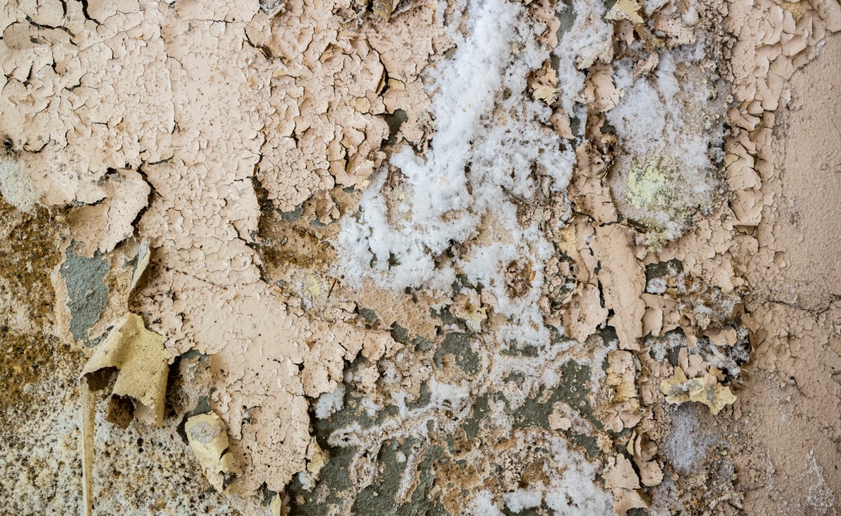 Mur Avec Salpêtre