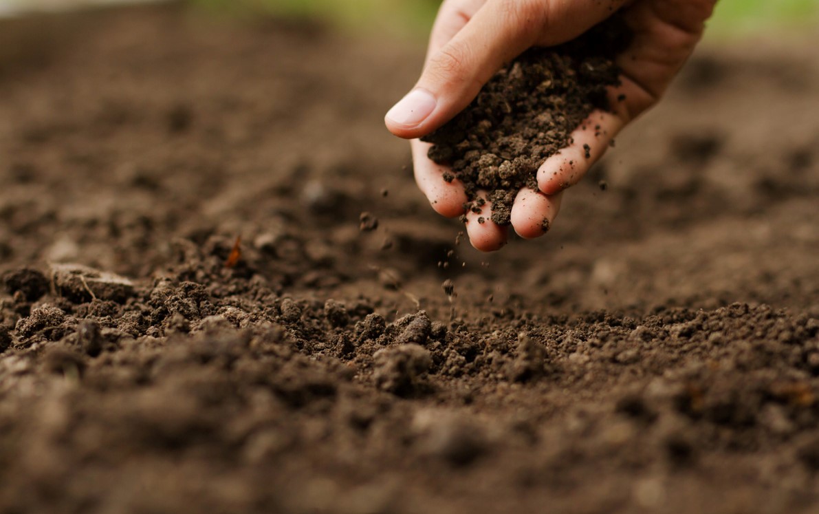 Terre Carré Potager