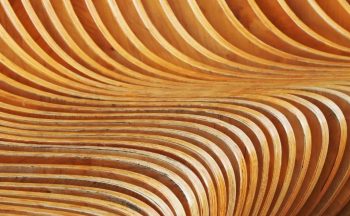 Cintrer Le Bois