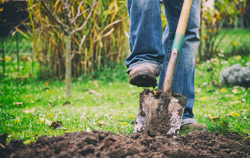 Becher Jardin Sans Se Fatiguer