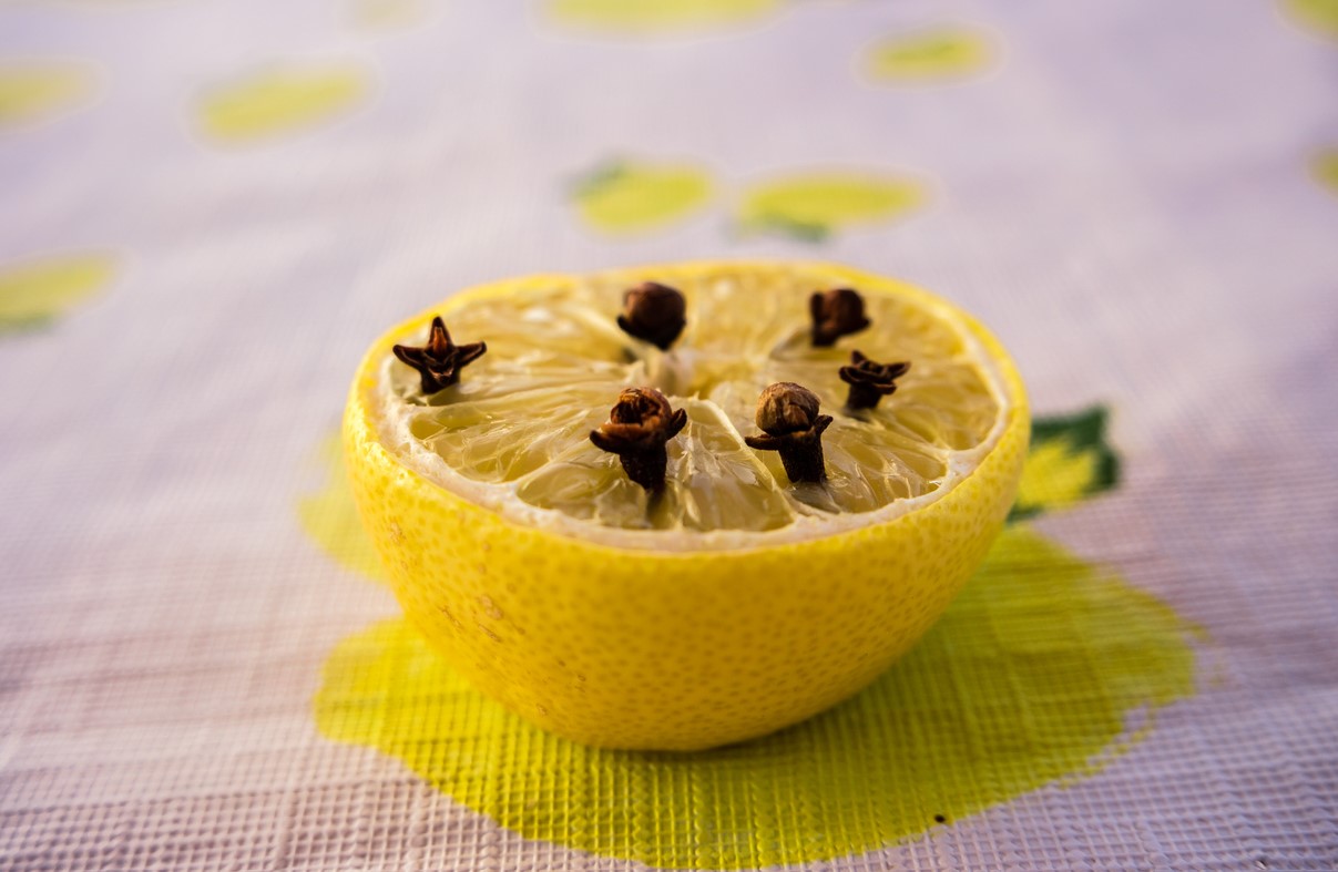 Citron Et Clous De Girofle