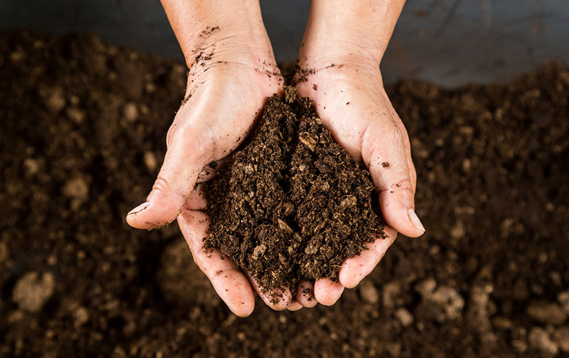 Compost Sol