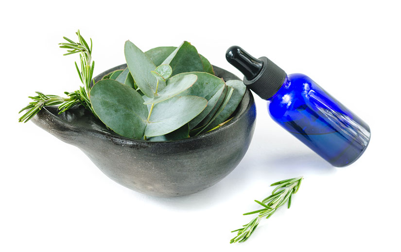 Essence D Eucalyptus