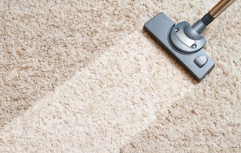 Eliminer Mites Tapis