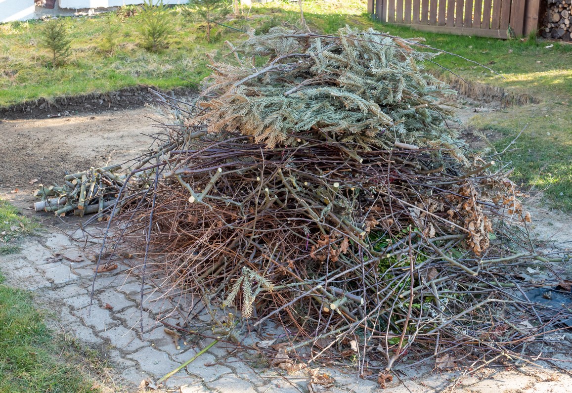Bruler Branches Dans Le Jardin