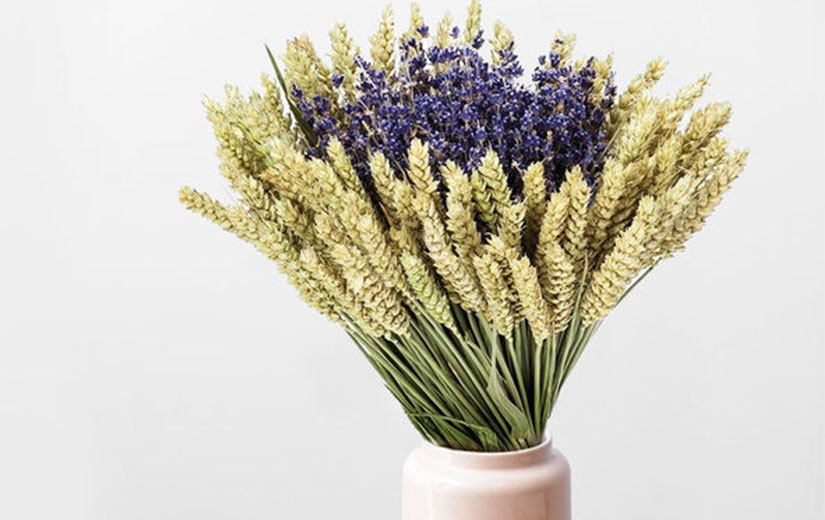 Fleurs Sechees Florajet