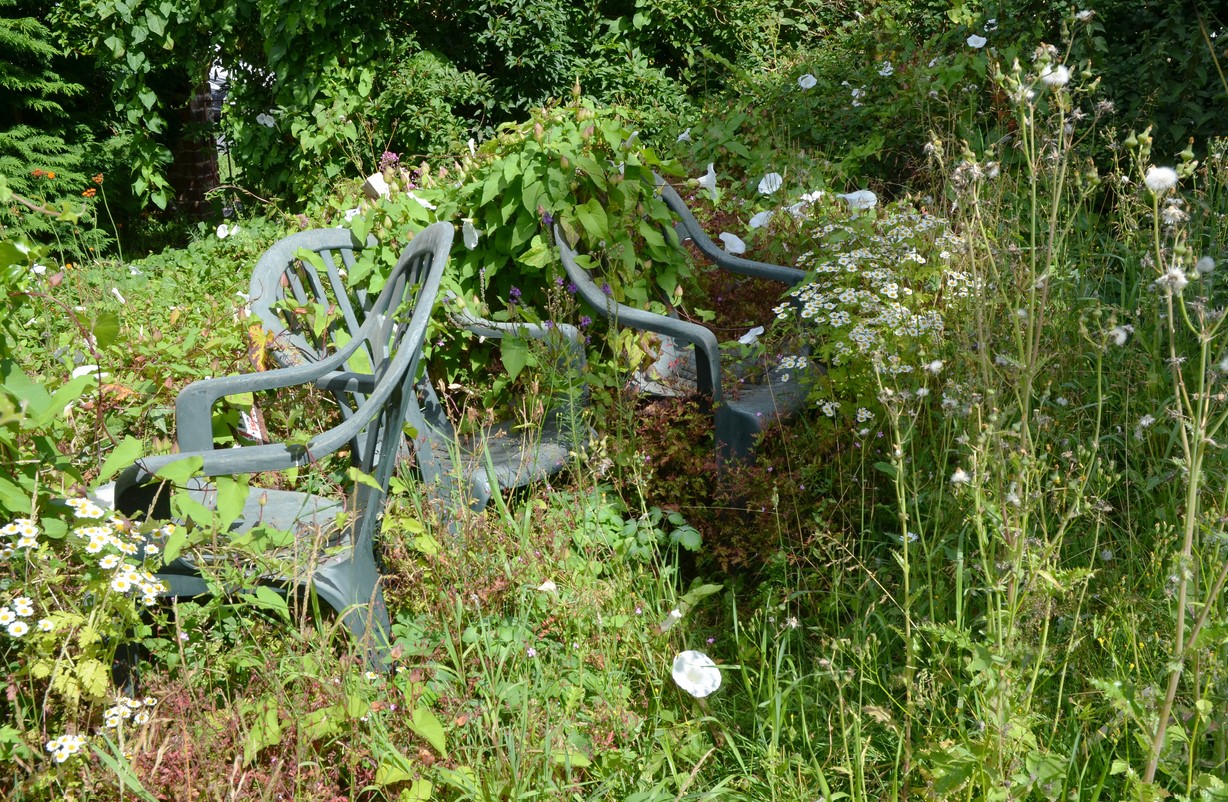 Terrain En Friche