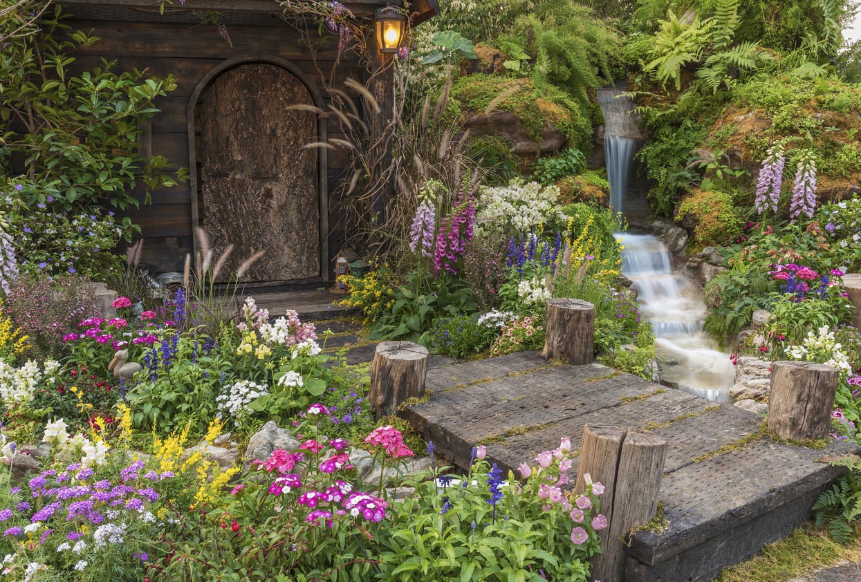 Jardin avec une cascade