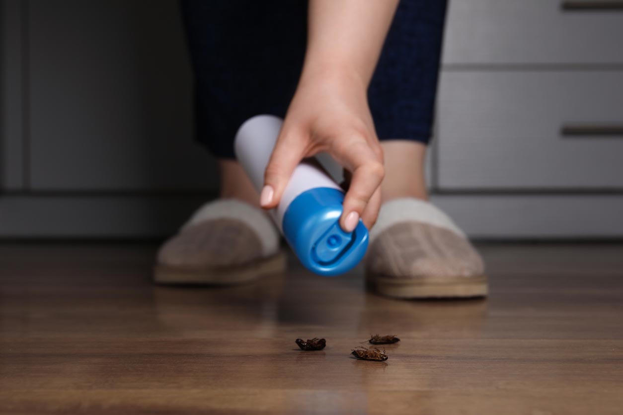 Femme pulvérisant de l’insecticide sur les cafards