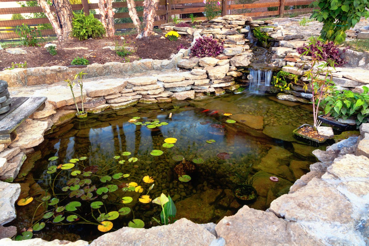 Bassin dans un jardin