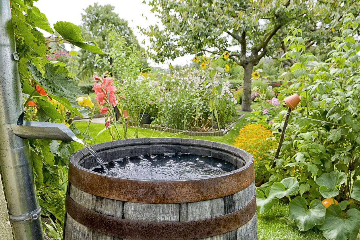 cuve récupération eaux de pluie