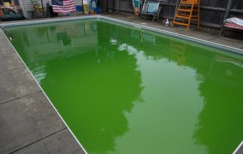 Piscine Eau Verte