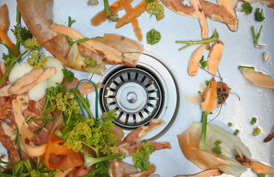 Déchets Alimentaires Dans Un évier