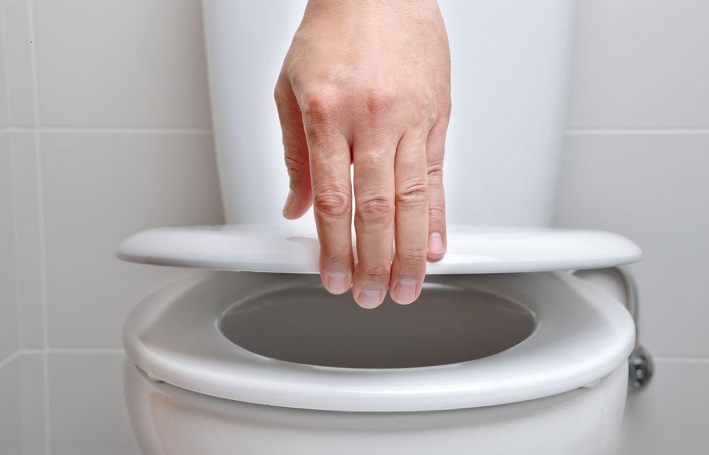 Main Qui Soulève Une Cuvette De Toilettes