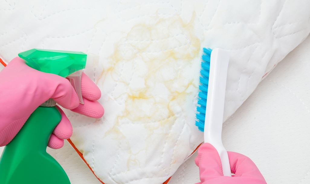 Oreiller Taché, Quelqu'un S'apprête à Le Nettoyer, Gants, Brosse Et Pulvérisateur