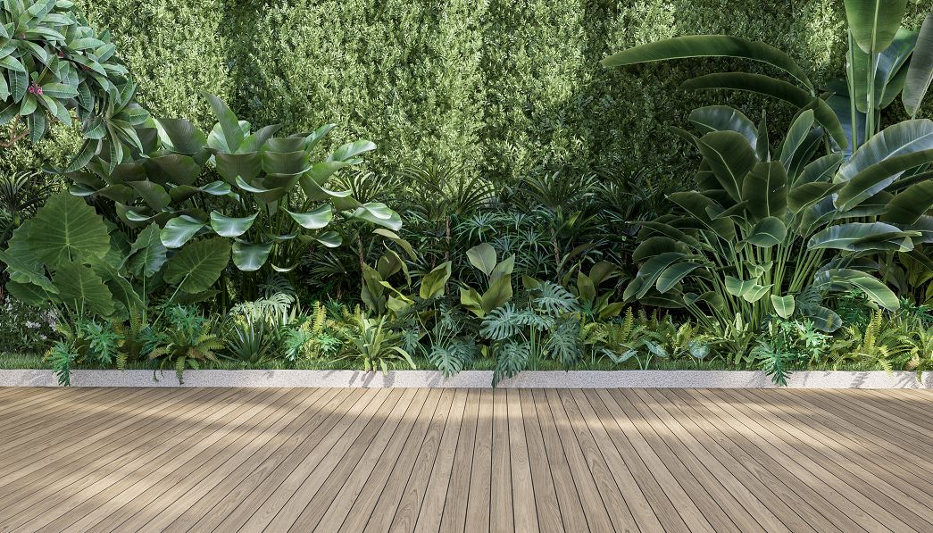 Terrasse En Bois Naturel, De La Végétation à L'arrière Plan