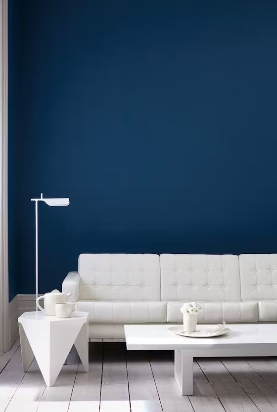 bleu Foncé Et Blanc