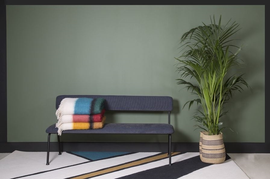 vert Sauge Et Couleurs