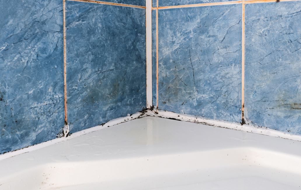 Gros Plan Sur De La Moisissure Sur Des Joints De Carrelage