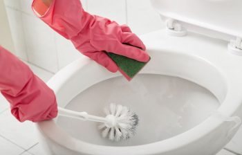 Nettoyage Des Wc Avec Gants Et Brosse