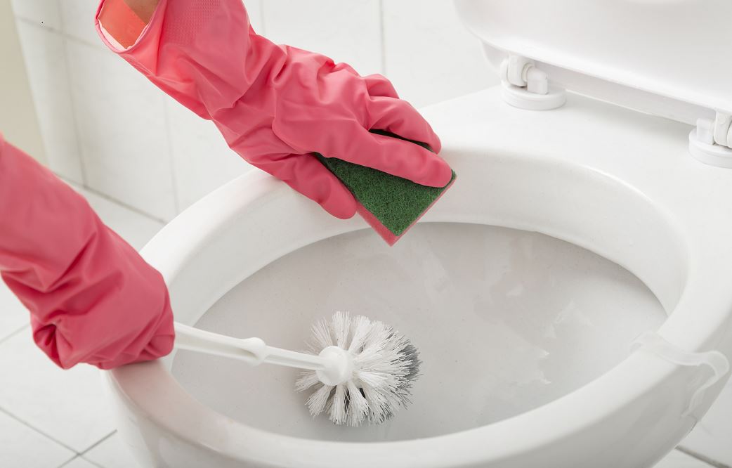 Nettoyage Des Wc Avec Gants Et Brosse