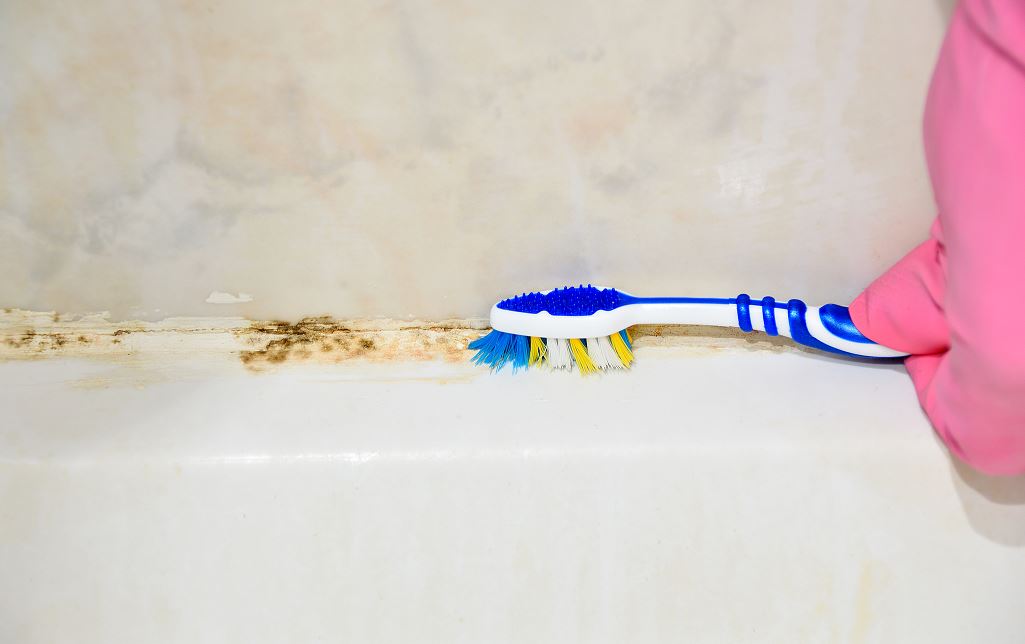 Nettoyage Moisissure à L'aide D'une Brosse à Dents