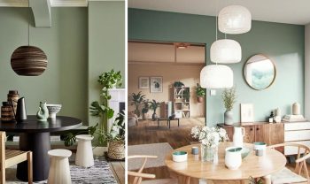 Vert Sauge Déco