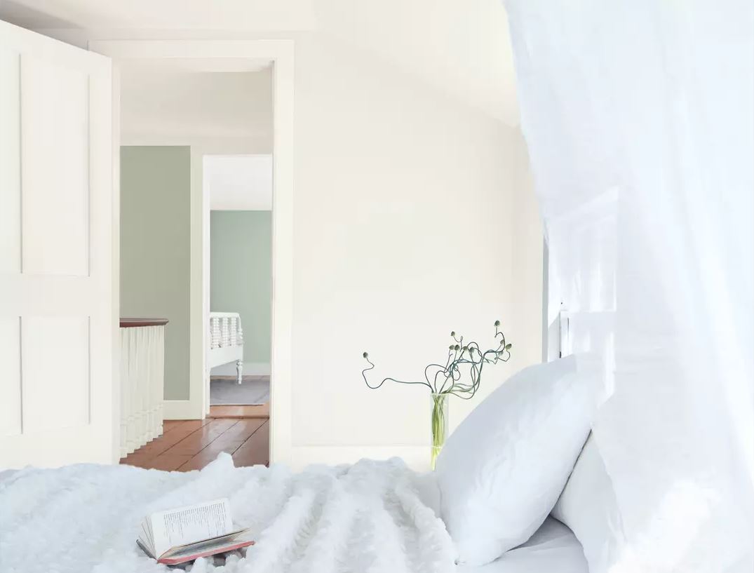 Beige Et Vert Céladon