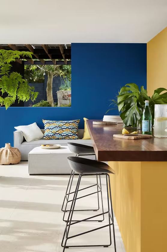 salon Bleu Majorelle