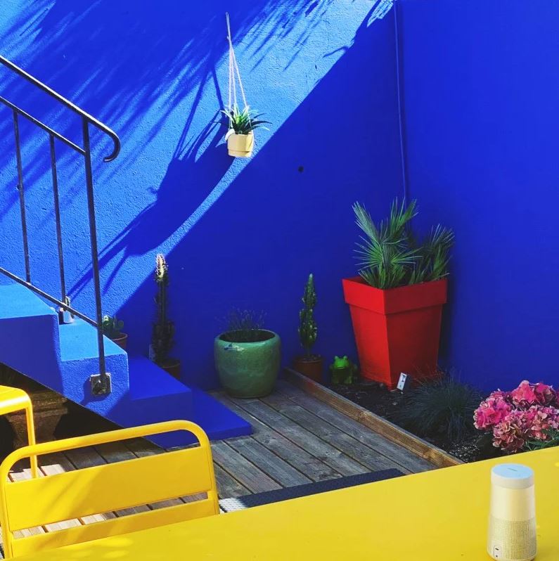 bleu Majorelle Ensoleillé